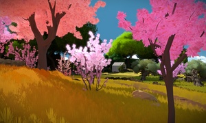 Forest scene in The Witness
