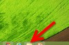 Hvordan å få Tilgang til Windows 8 Nettverk: 5 Trinn (med Bilder)