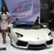 image lamborghini-babe-3111.jpg