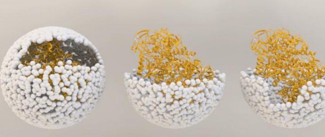 c6a1d0d004efdf2ea79026164c875e97 c6a1d0d004efdf2ea79026164c875e97