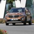 image Kia-Sorento-2015-bruin-067.jpg