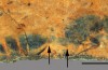 Un Fossile Antique Fourmi Reine Émerge De 46 Millions d’années-Vieux Rock