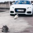 image audi-tt-roadster-tdi-0048.jpg