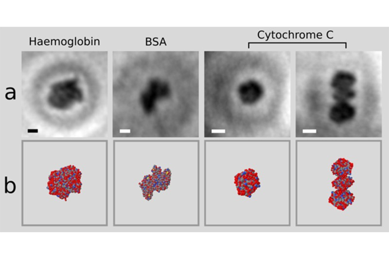 These Are the First Ever Images of a Single Folded Protein