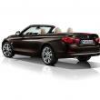 image bmw-4-serie-cabrio-f33-105.jpg
