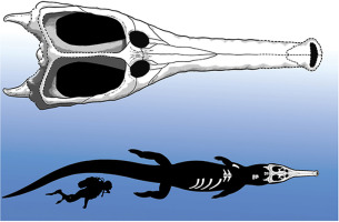 Imagine Getting Your Bones Crushed By This Bus-Sized Crocodile 