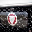 image Jaguar-XE-19.jpg