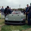 image Ferrari-F40-mat-groen-08.jpg