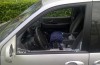 Reminder: dogs die in a hot car
