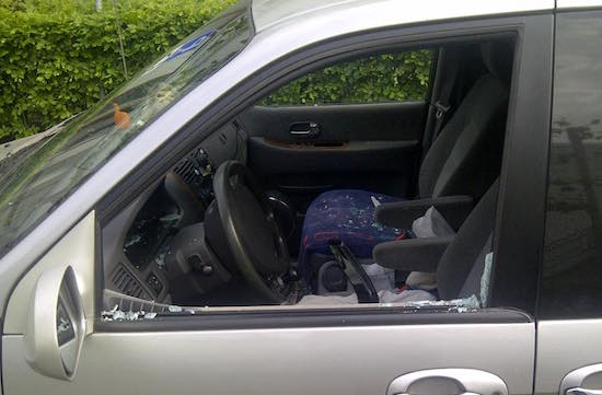 Reminder: honden gaan dood in een hete auto