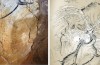 Il y a quelque Chose d’Incroyable dans Ce De 40 000 Ans de la Grotte de la Peinture
