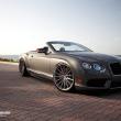 image Bentley-Continental-GTC-velgpron-001.jpg