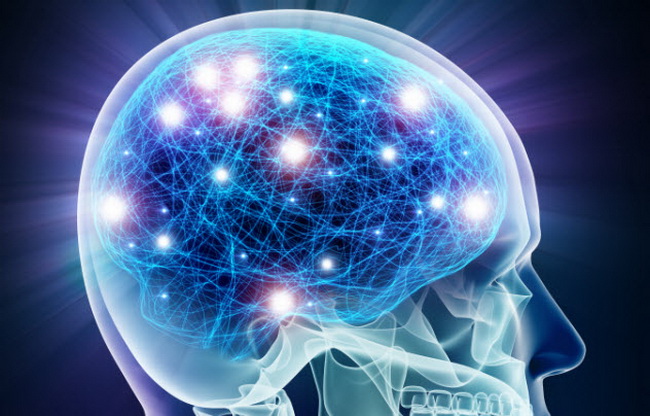 6-brain-neurons