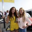 image DTM_Zandvoort_2015_007.jpg