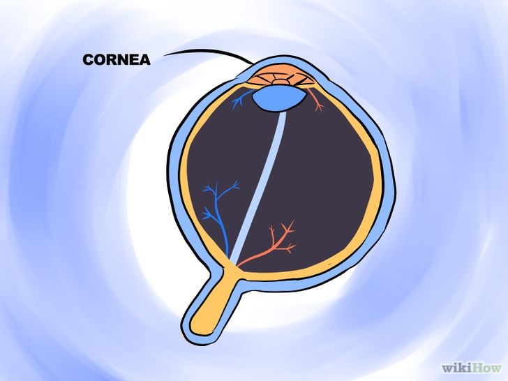 Image titled Accept Intelligent Design of the Cornea Step 11
