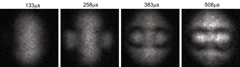 Physicists Successfully Tie the Very First Quantum Knots