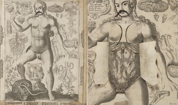 Columbia Just Digitized a Bestselling Anatomy Flipbook From the 1600s