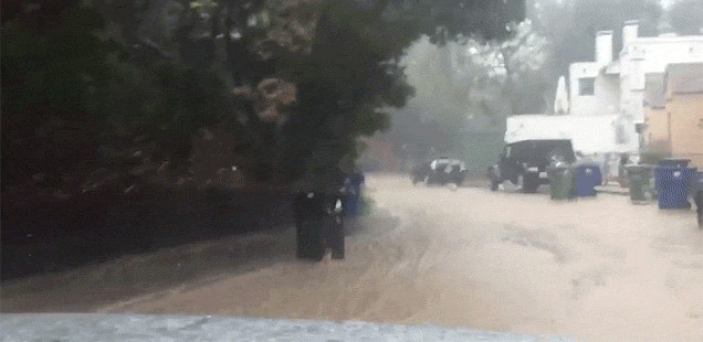 This El Niño-Powered Trash Can Is the Best Gadget We Didn’t See at CES This Year