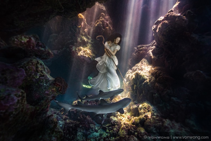 This Shark Shepherdess Looks Like She Stepped Out of an Underwater Fairy Tale