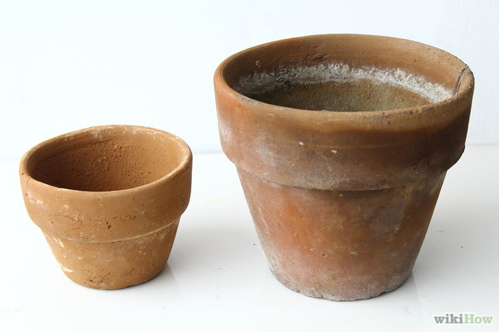 Image titled Make Flower Pot Animals Step 1