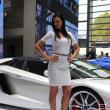 image lamborghini-babe-3115.jpg