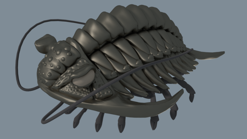 These 3D Printed Trilobites Are Absolutely Stunning