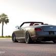 image Bentley-Continental-GTC-velgpron-017.jpg
