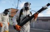 Den Teknik Som Skulle Kunna Stoppa Virus Zika