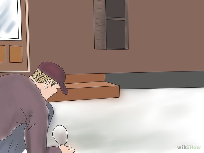 Image titled Accent Trees With Outdoor Lighting Step 5