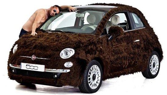 Fiat 500 Bear