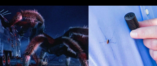 I got 99 problems, but an arachnid ain't one