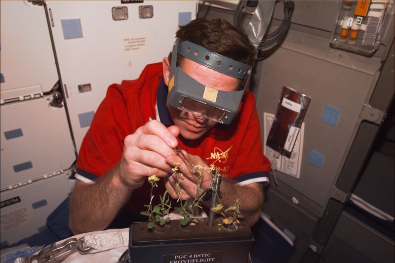 The First Space Flower Bloomed Decades Ago, Not This Week