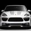 image porsche-cayenne-wald-tuning-001.jpg