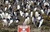 Argentina wants to talk about Falkland islands