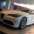 image alfa-romeo-giulia-qv-wit-007.jpg