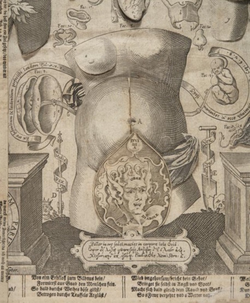 Columbia Just Digitized a Bestselling Anatomy Flipbook From the 1600s
