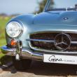 image Mercedes-190SL-1959-9747.jpg