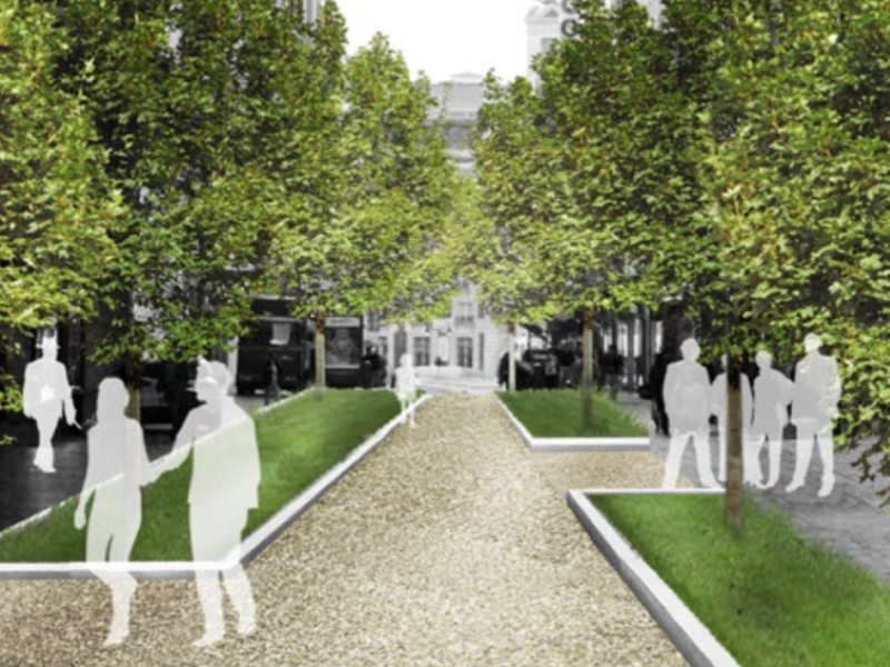 Madrid Bans Cars, Plans Plants