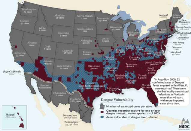 The US Should Expect 'Limited' Outbreaks of the Zika Virus