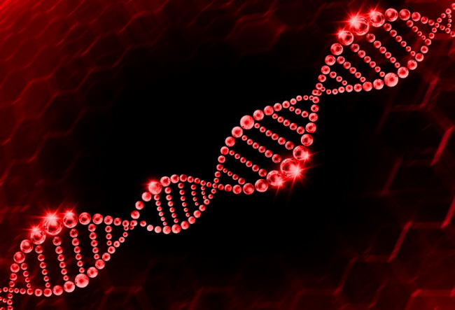 4-dna