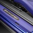 image TOPCAR-Porsche-991-Carrera-Stinger-21.jpg
