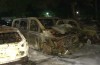 Seven cars burned out at holiday park in the North of Limburg