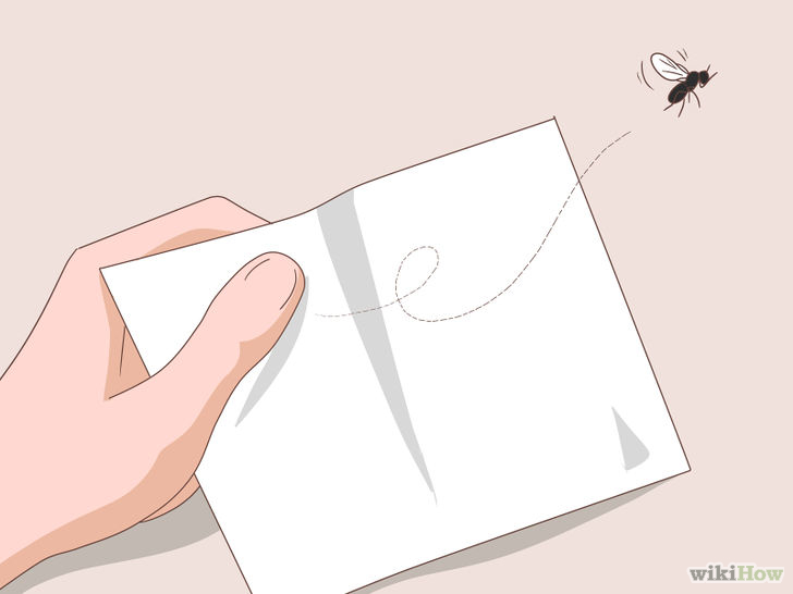Image titled Appear to Save a Fly From Drowning Step 6