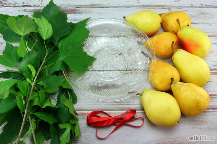 Image titled Make a Pear Centerpiece Step 1