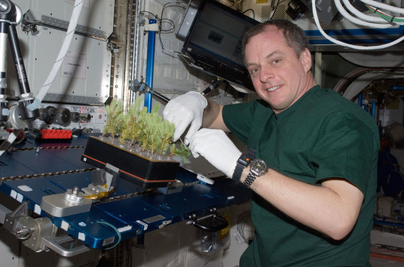 The First Space Flower Bloomed Decades Ago, Not This Week