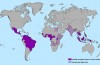 Zika-Virus Utbrott Instruktionerna för CDC att Expandera Resa Rådgivande
