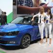image skoda-fabia-2988.jpg