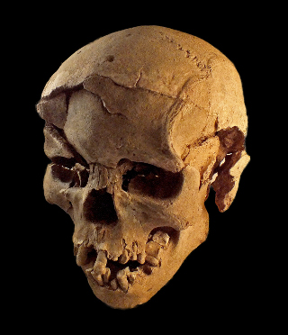 Discovery of Brutal Prehistoric Massacre Pushes Back History of Human Warfare