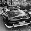 image ferrari-250-gt-swb-california-spider-alain-delon-00.jpg