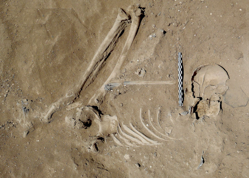 Discovery of Brutal Prehistoric Massacre Pushes Back History of Human Warfare